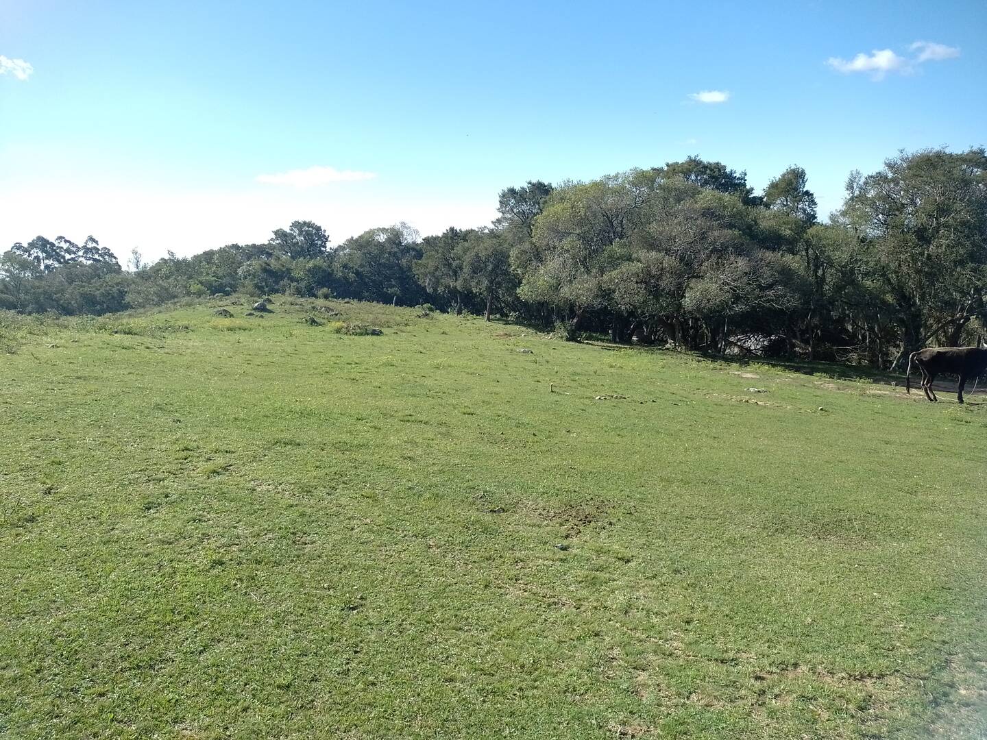 #328 - Fazenda para Venda em Barão do Triunfo - RS