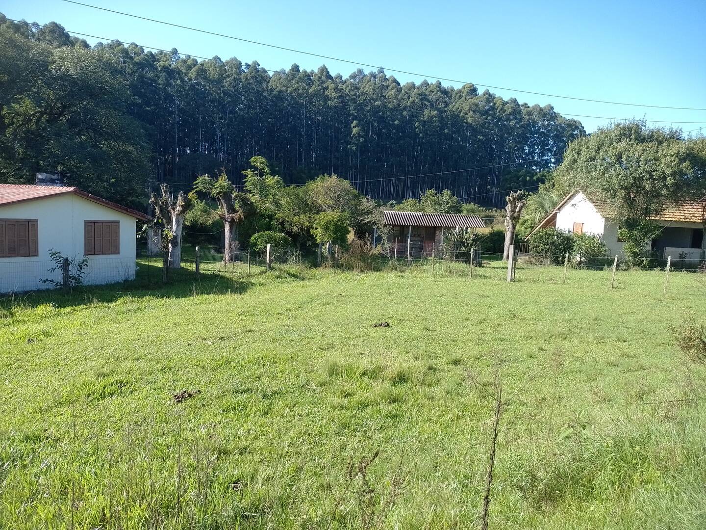 #359 - Sítio para Venda em Sertão Santana - RS