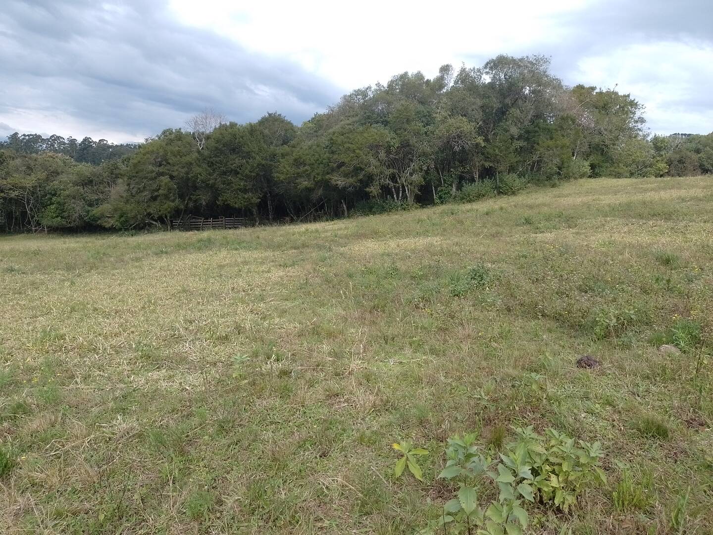 #363 - Área para Venda em Mariana Pimentel - RS