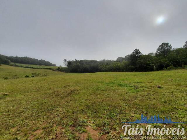 Chácara para Venda em Sertão Santana - 4