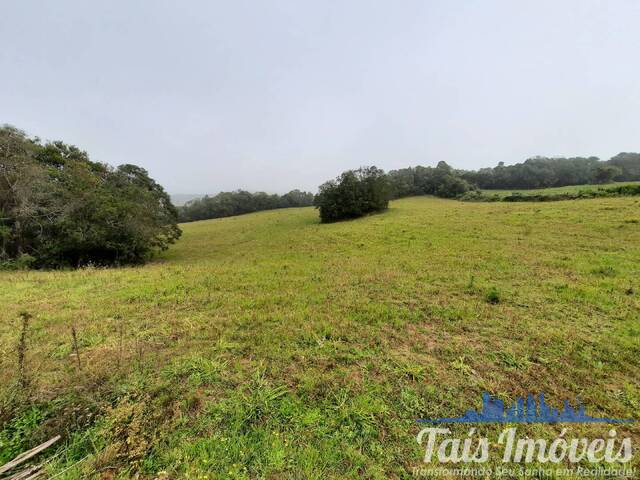 Chácara para Venda em Sertão Santana - 5