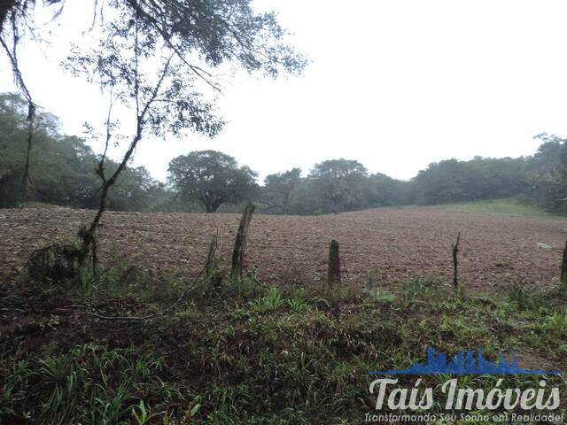 Chácara para Venda em Mariana Pimentel - 4