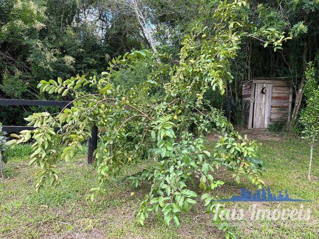 Área para Venda em Sertão Santana - 5