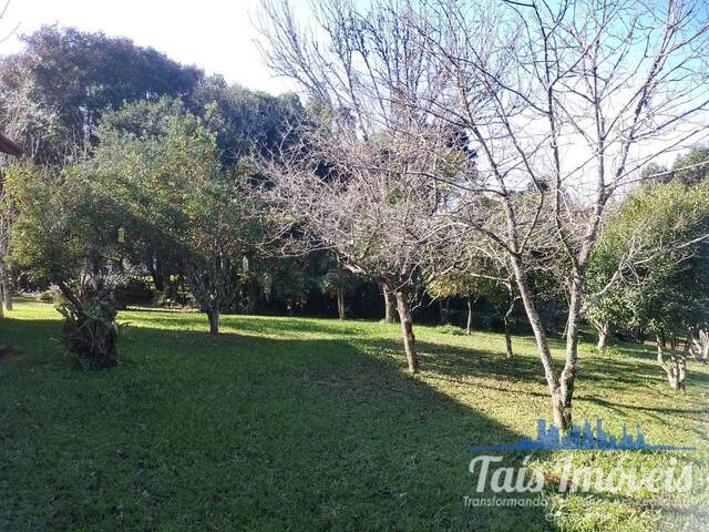 Sítio para Venda em Barra do Ribeiro - 4