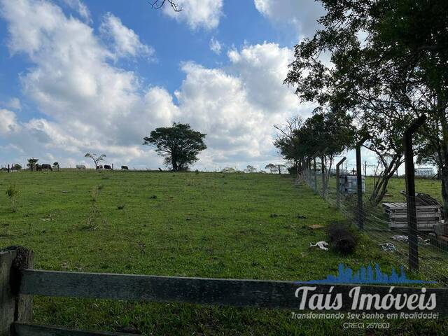 Área para Venda em Guaíba - 5