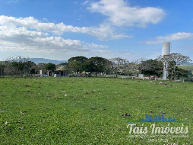 Venda em Califórnia City - Guaíba