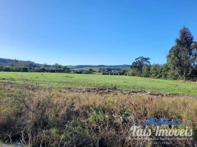 #310 - Terreno para Venda em Barra do Ribeiro - RS - 2