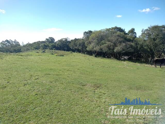 #328 - Fazenda para Venda em Barão do Triunfo - RS - 1