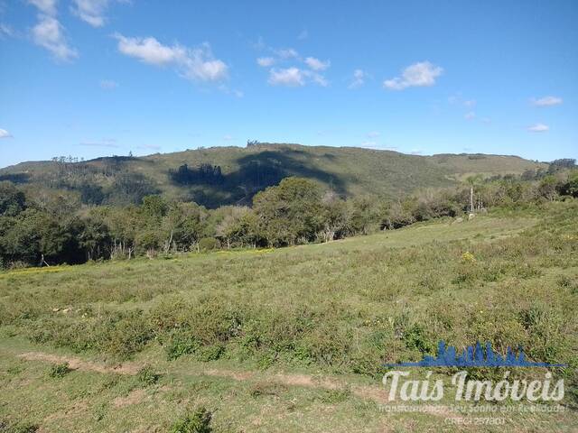 Fazenda para Venda em Barão do Triunfo - 4
