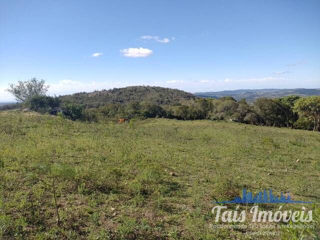Fazenda para Venda em Barão do Triunfo - 5
