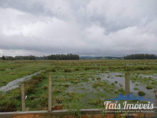 Área para Venda em Barra do Ribeiro - 4