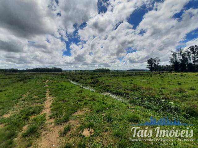 #332 - Área para Venda em Barra do Ribeiro - RS - 1