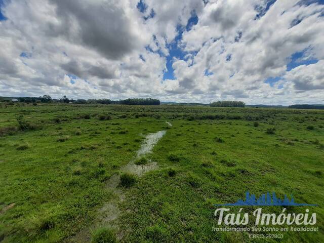 Área para Venda em Barra do Ribeiro - 5