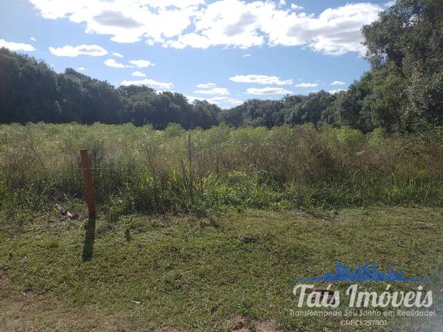 Chácara para Venda em Sertão Santana - 4