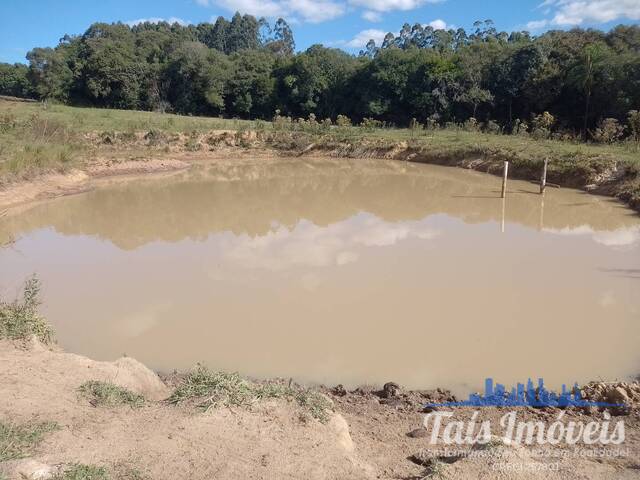 Chácara para Venda em Sertão Santana - 5