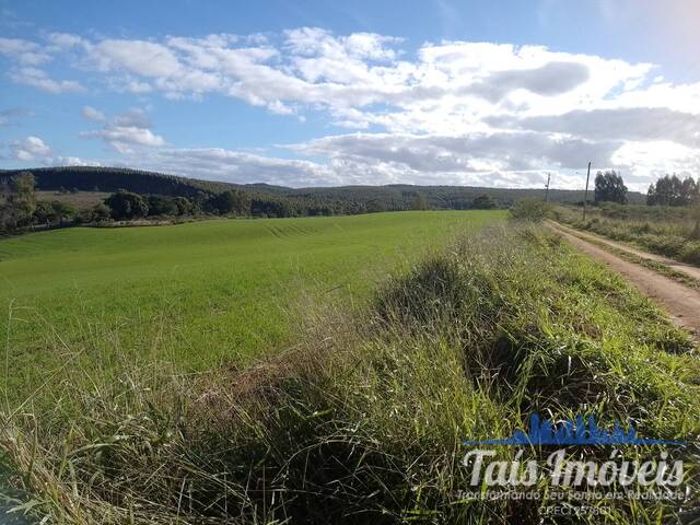 #357 - Fazenda para Venda em Sentinela do Sul - RS - 3