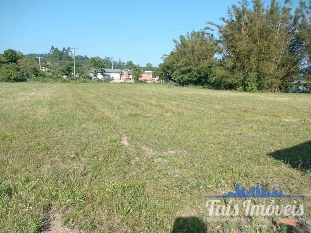 #358 - Chácara para Venda em Sertão Santana - RS - 3