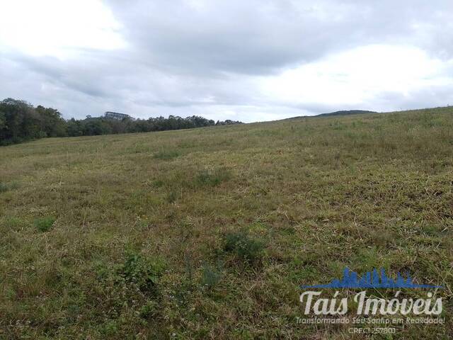#363 - Área para Venda em Mariana Pimentel - RS - 2
