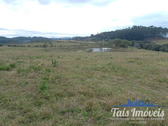 Área para Venda em Mariana Pimentel - 5