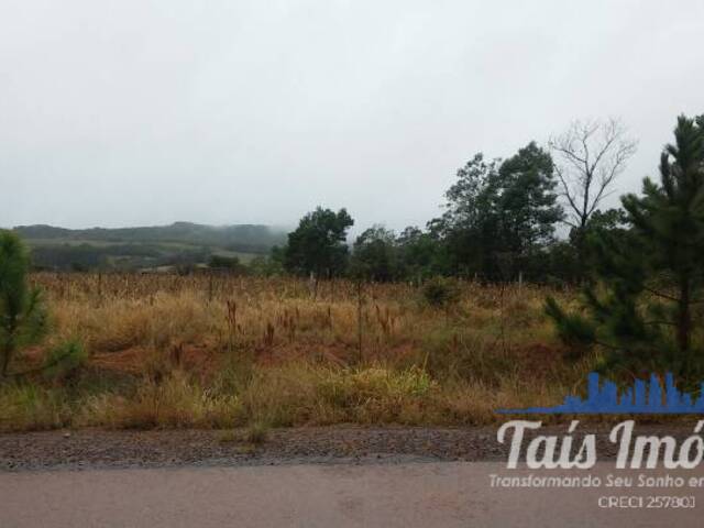 #310 - Terreno para Venda em Barra do Ribeiro - RS - 3