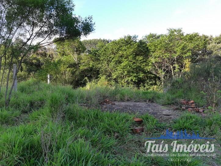 Terreno, 1600 m² - Foto 2