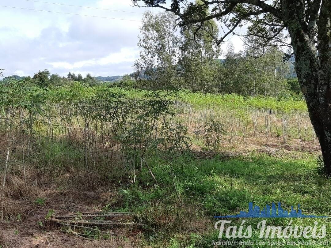 Sítio, 3 quartos, 8 hectares - Foto 17