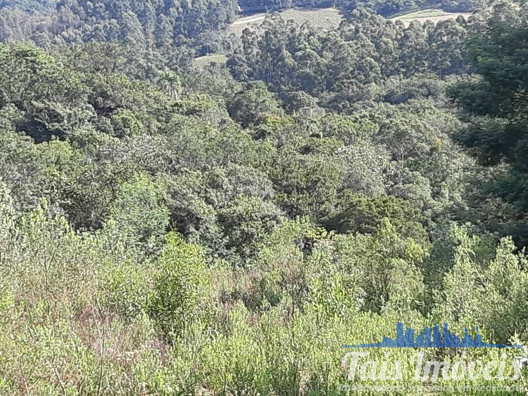 Sítio, 3 quartos, 8 hectares - Foto 21