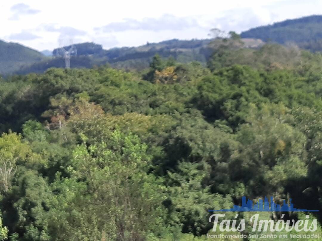 Sítio, 3 quartos, 8 hectares - Foto 20