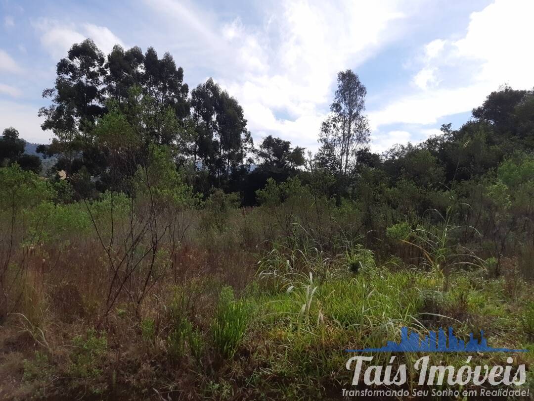 Sítio, 3 quartos, 8 hectares - Foto 26