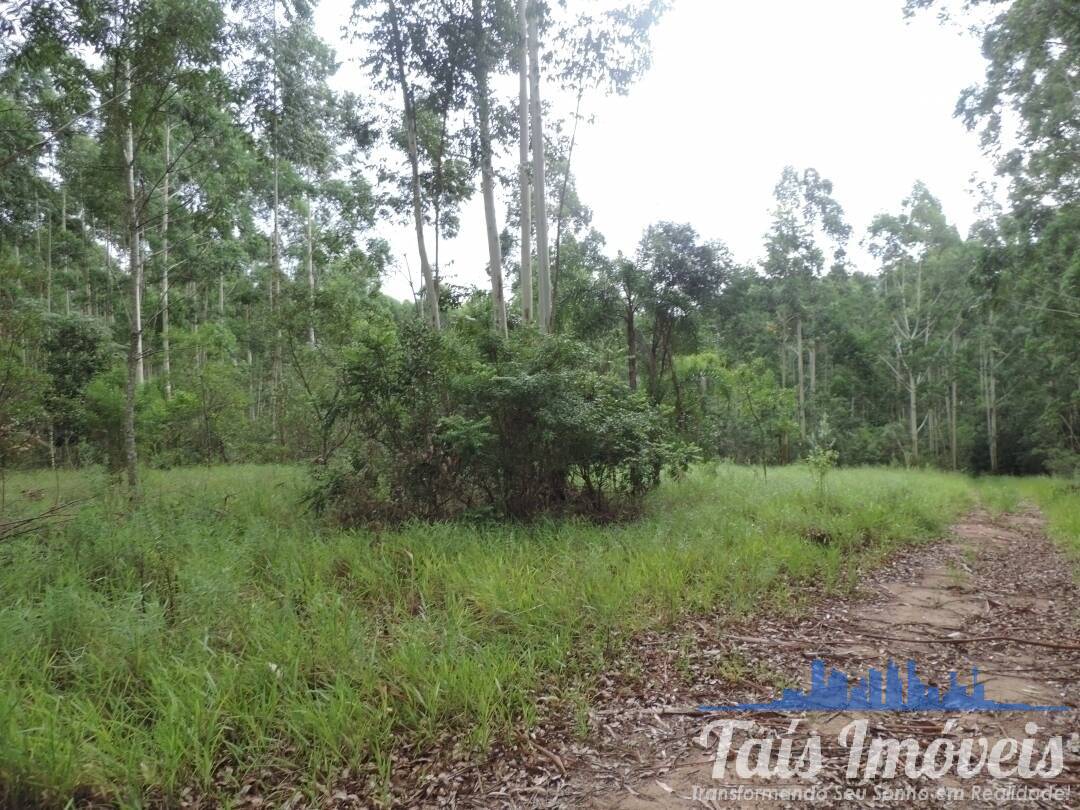 Terreno, 26 hectares - Foto 3