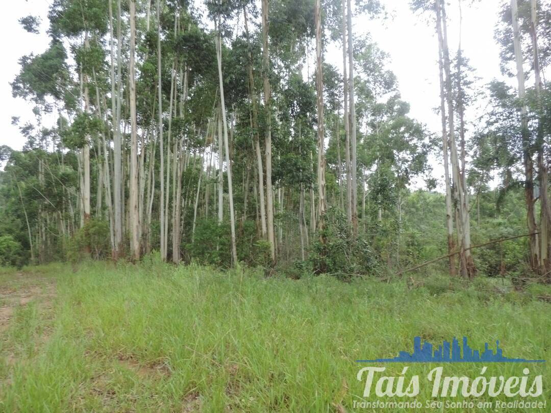 Terreno, 26 hectares - Foto 8