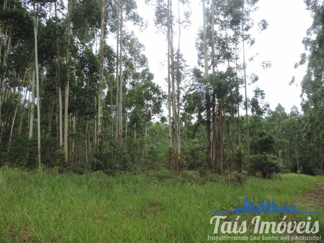 Terreno, 26 hectares - Foto 7