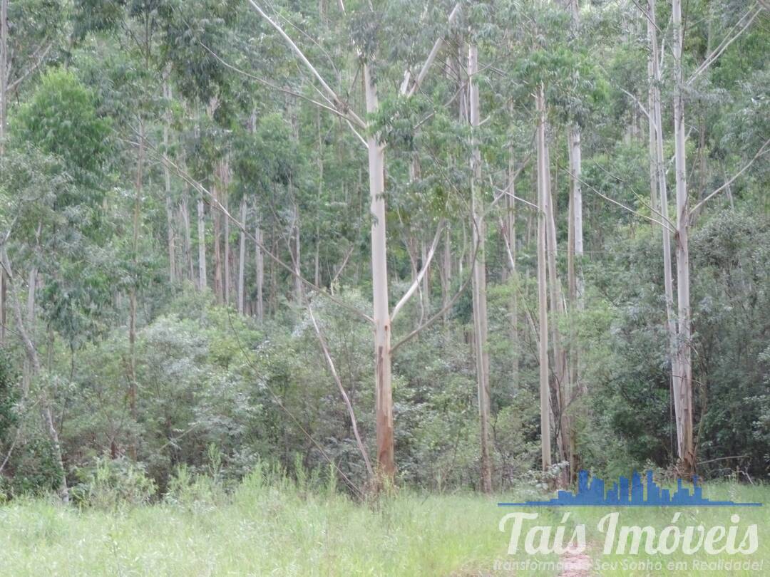 Terreno, 26 hectares - Foto 6