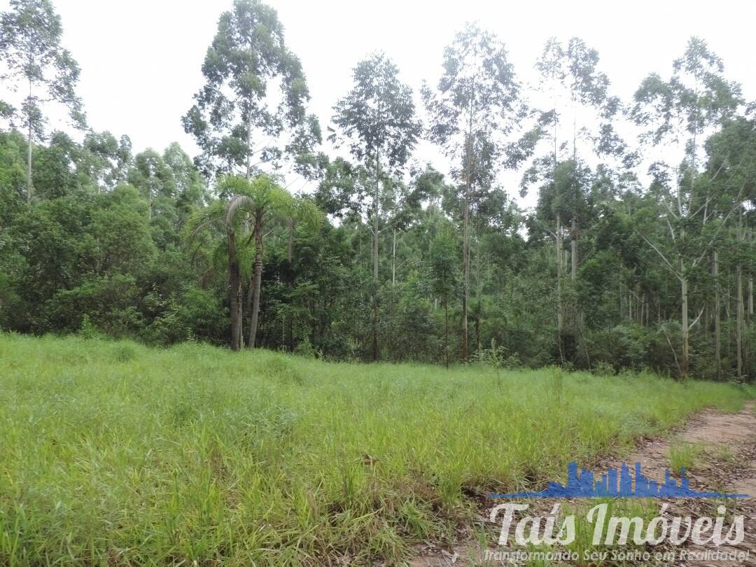 Terreno, 26 hectares - Foto 5