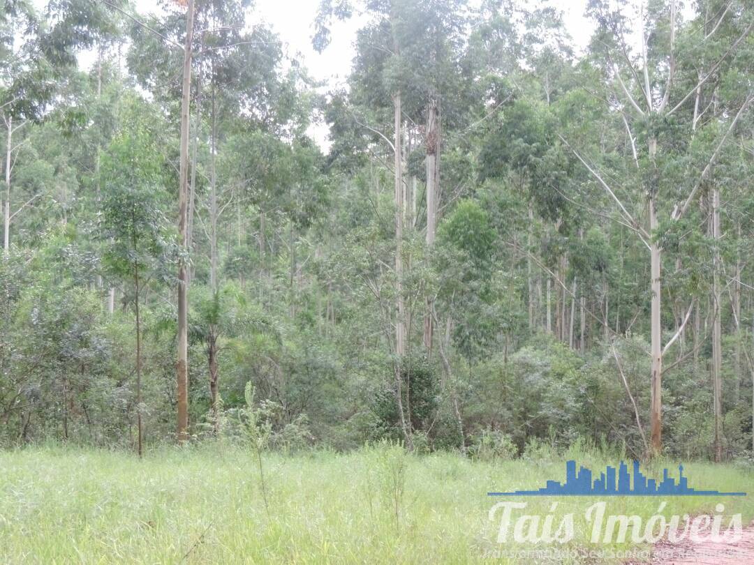 Terreno, 26 hectares - Foto 4