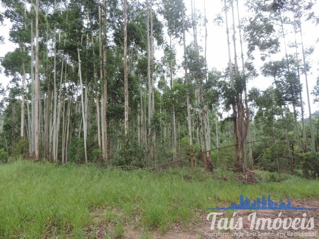 Terreno, 26 hectares - Foto 2