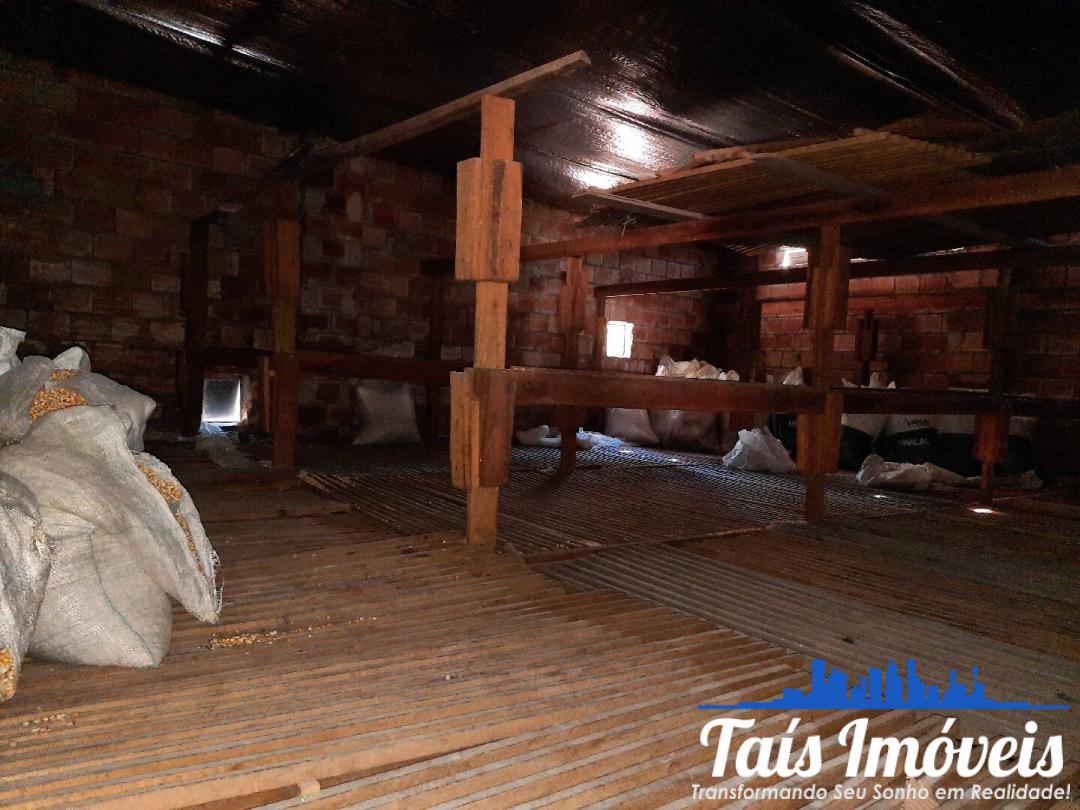 Sítio, 3 quartos, 7 m² - Foto 5