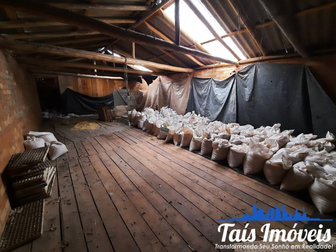 Sítio, 3 quartos, 7 m² - Foto 6