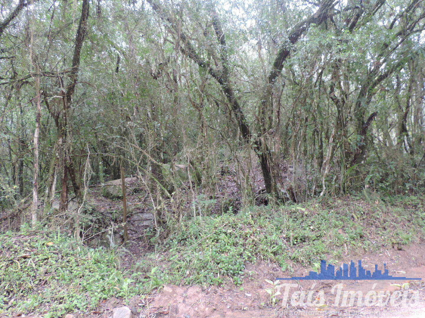 Terreno, 23 m² - Foto 2