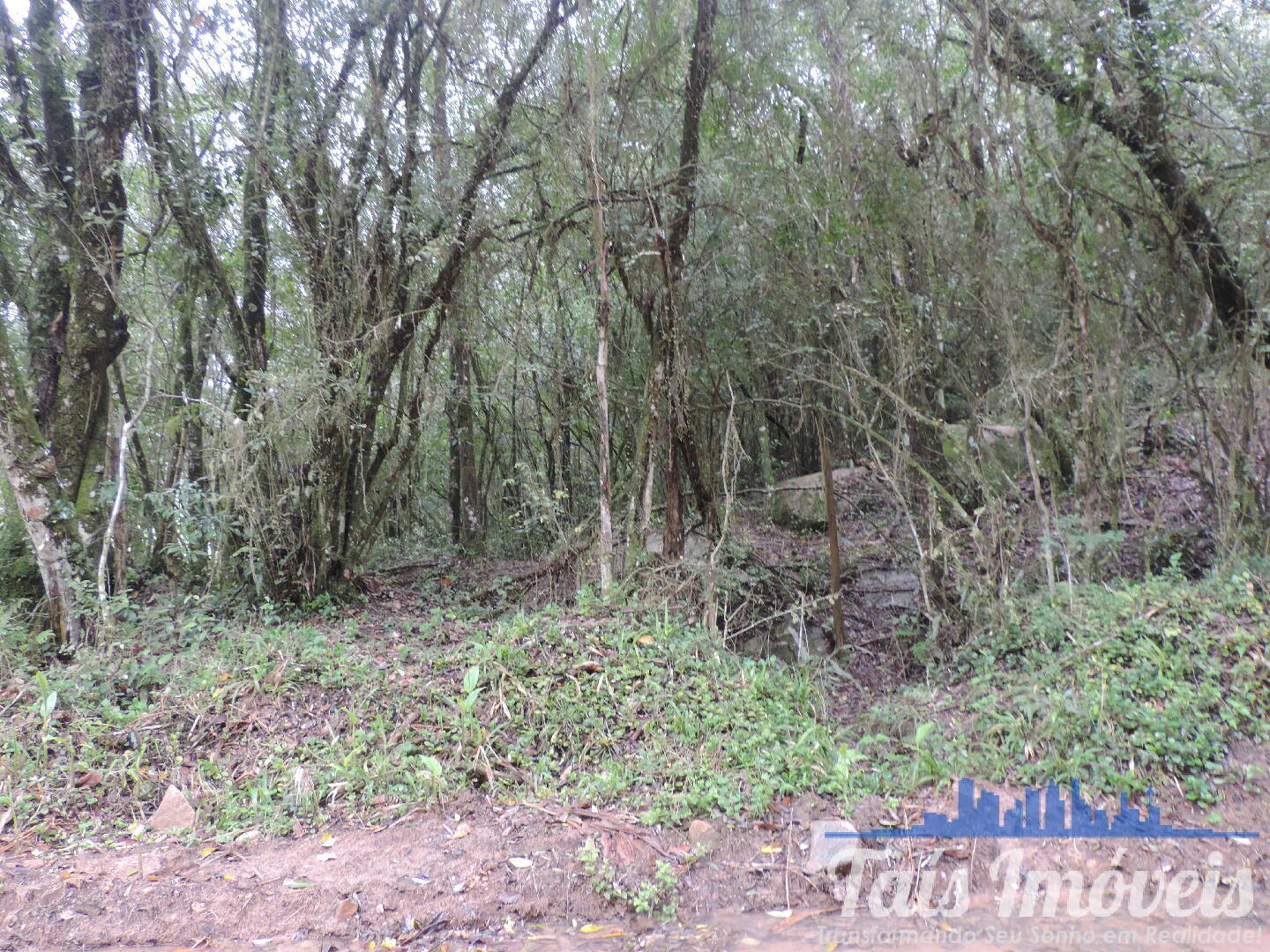 Terreno, 23 m² - Foto 3