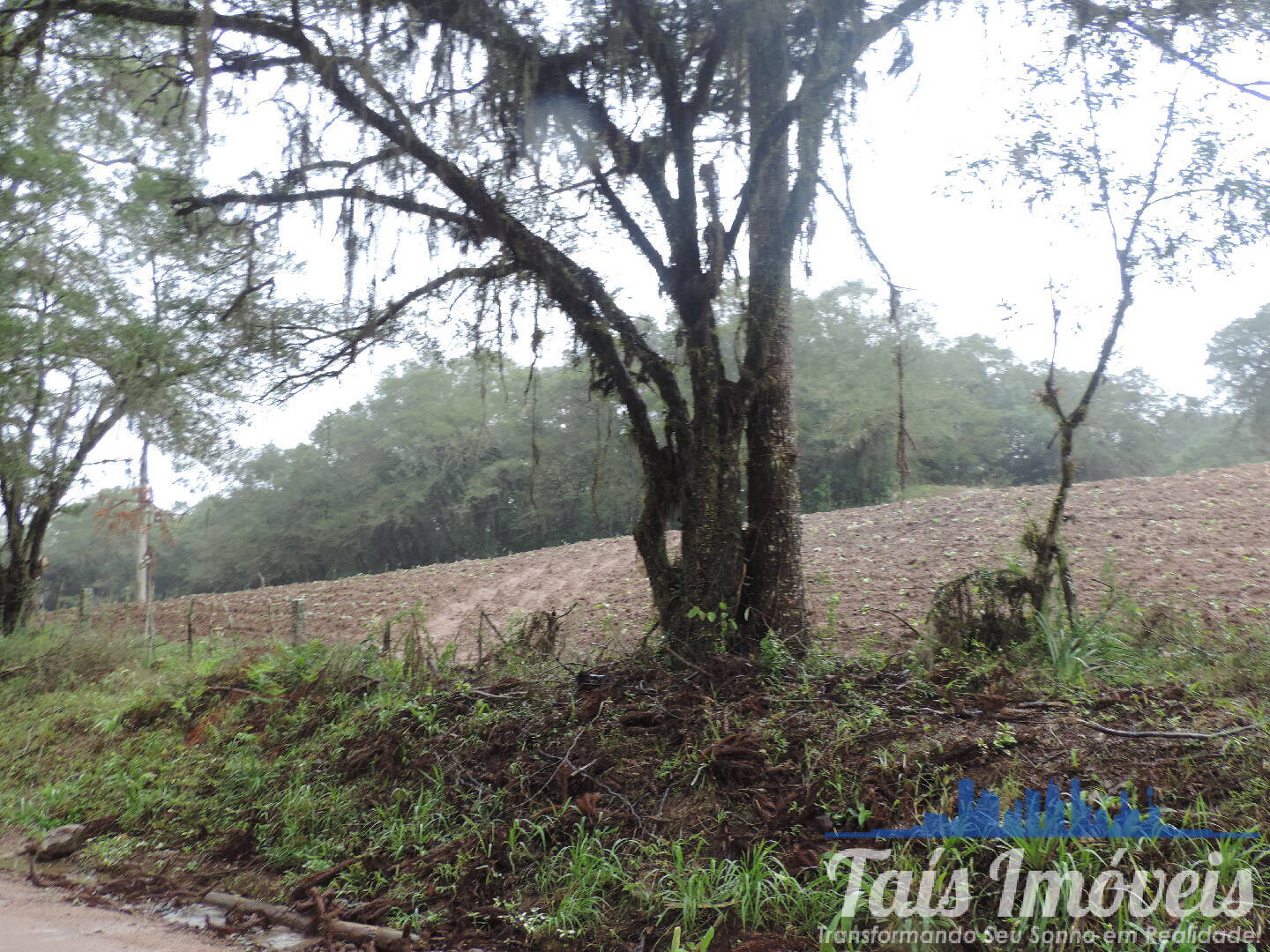 Terreno, 23 m² - Foto 5