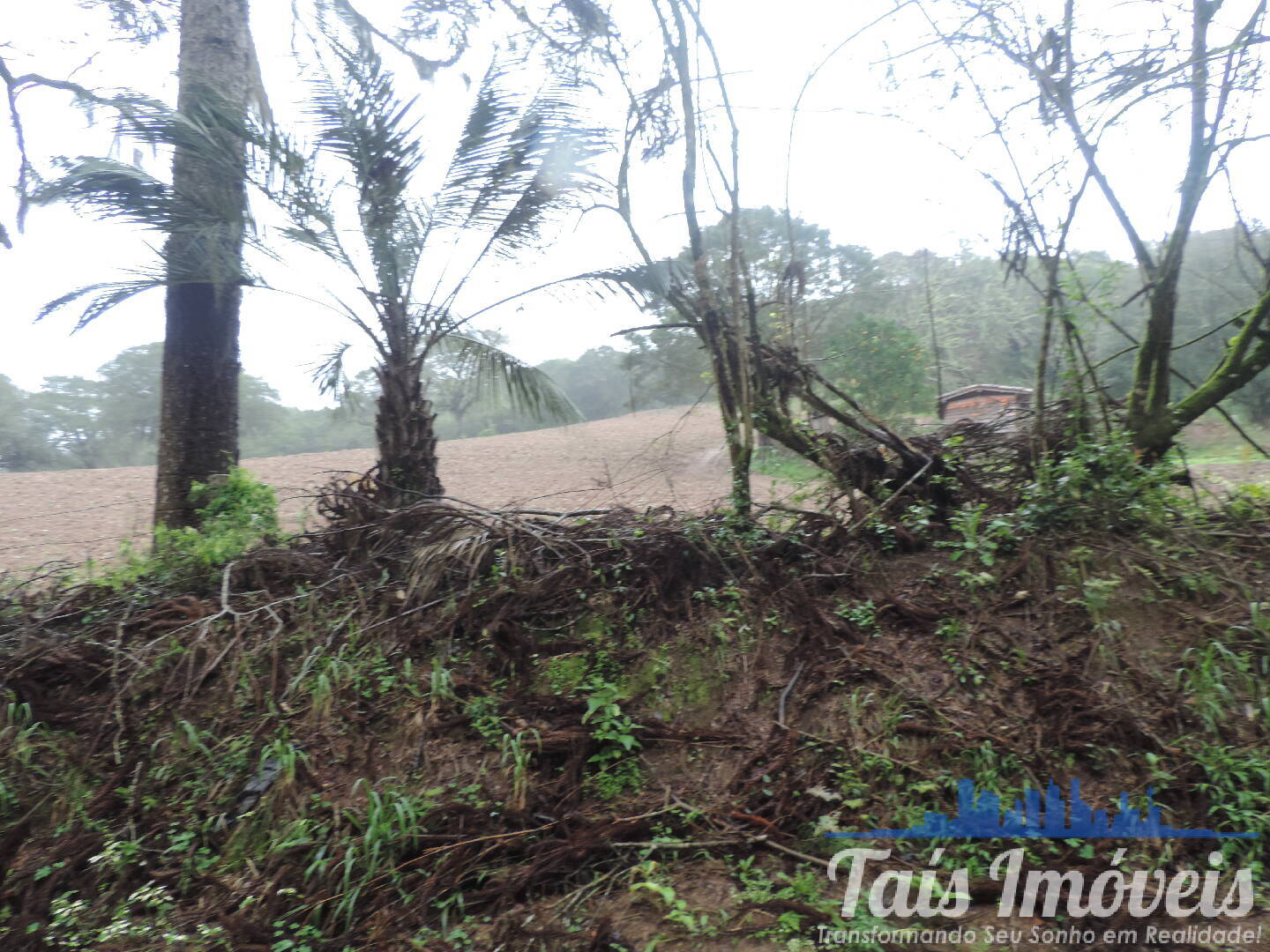 Terreno, 23 m² - Foto 6