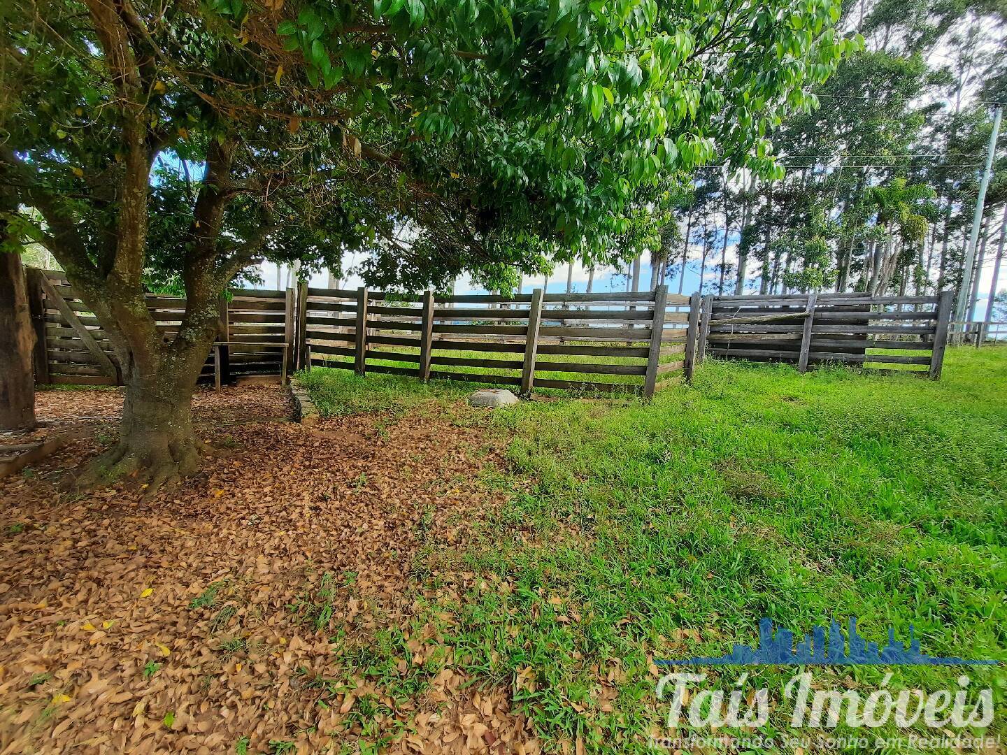 Sítio, 1 quarto, 5 m² - Foto 21