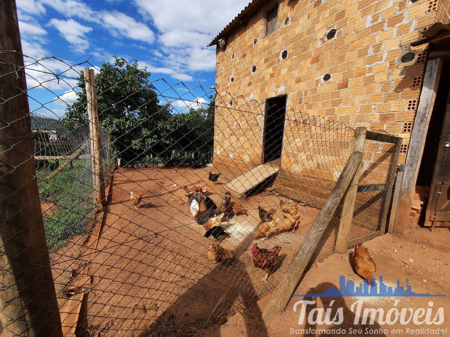 Sítio, 1 quarto, 5 m² - Foto 15