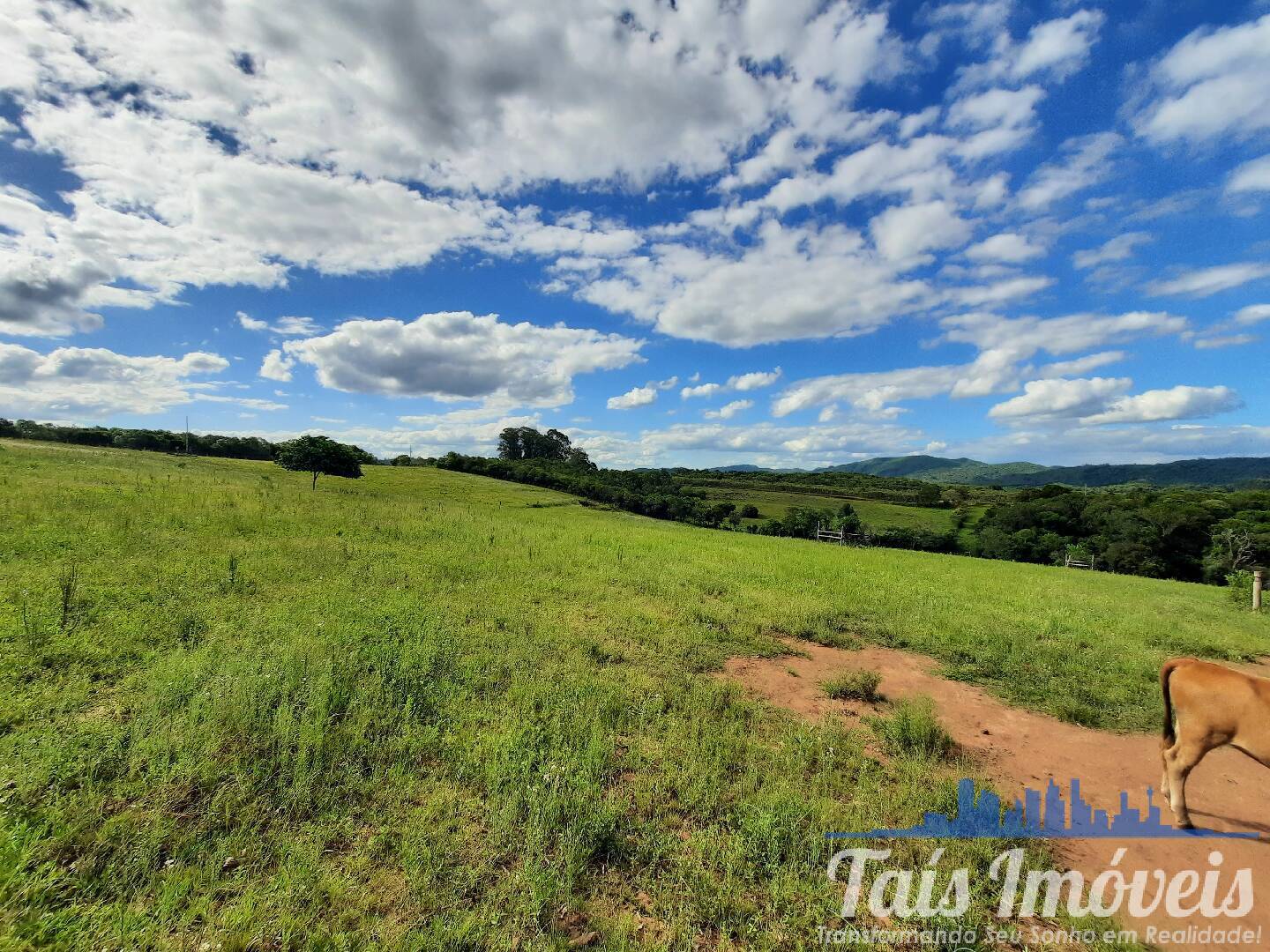 Sítio, 1 quarto, 5 m² - Foto 19