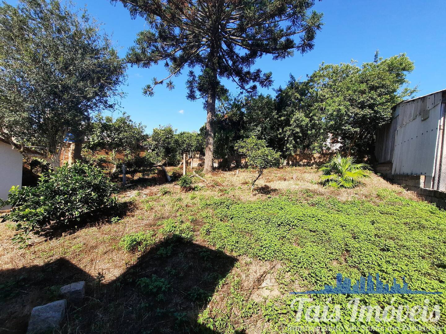 Casa, 4 quartos, 418 m² - Foto 13