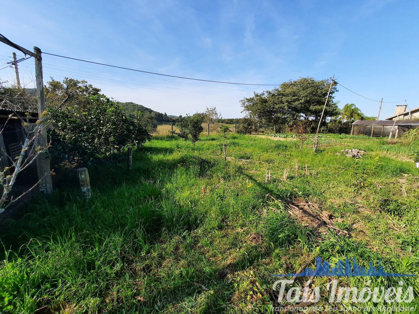 Sítio, 3 quartos, 10 m² - Foto 21