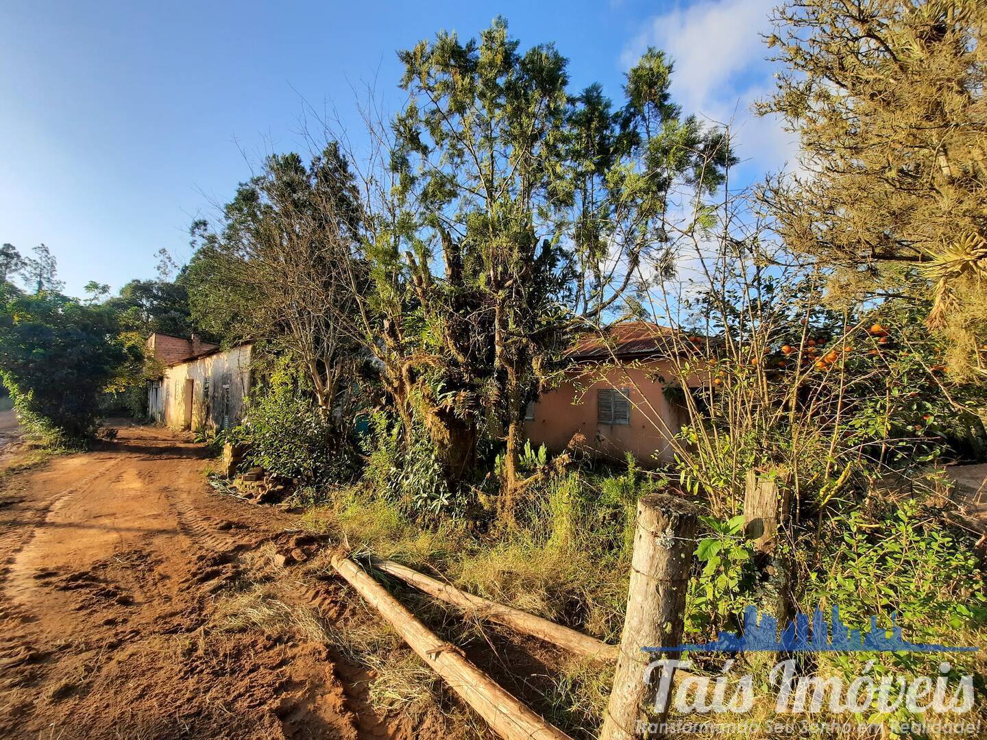 Sítio à venda com 2 quartos - Foto 4
