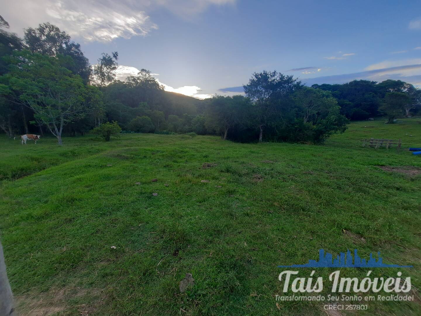 Sítio, 3 quartos, 14 m² - Foto 12