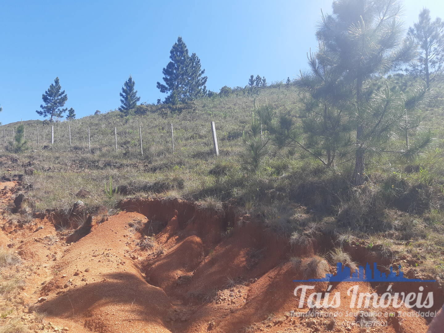 Sítio, 4 quartos, 10 m² - Foto 16